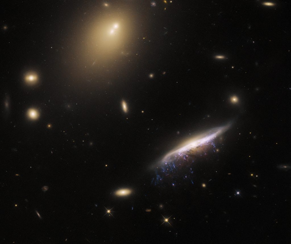 JW100 Galaksisi