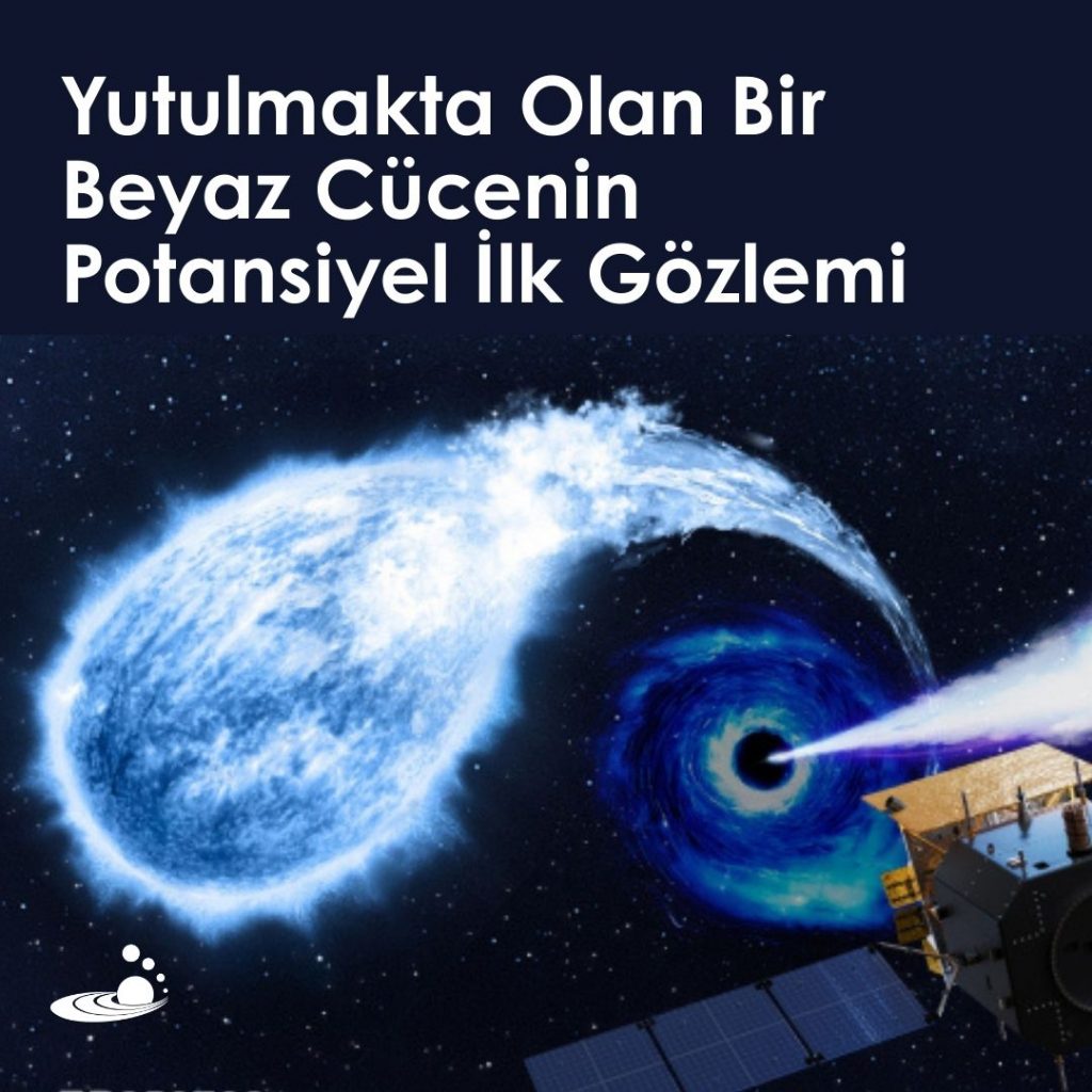 Yutulmakta Olan Bir Beyaz Cücenin Potansiyel İlk Gözlemi